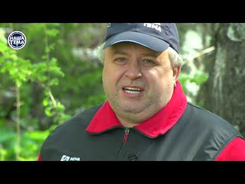 Видео: Вода