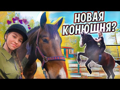 Видео: НОВАЯ КОНЮШНЯ? VLOG Конная прогулка / Кузнецкий Алатау