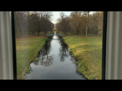 Видео: ❗️"А я на"... 🇵🇱дачі: осенняя🍁 #трансляция🎬...