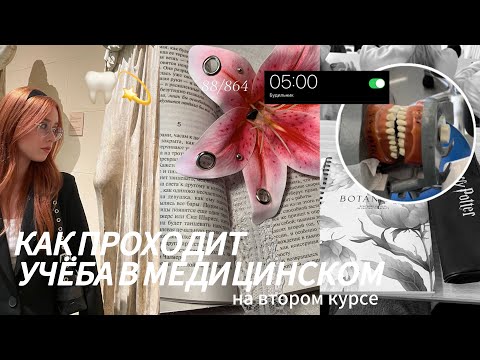Видео: УЧЁБА В МЕДИЦИНСКОМ НА ВТОРОМ КУРСЕ/будни студента-медика/гистология,биохимия 