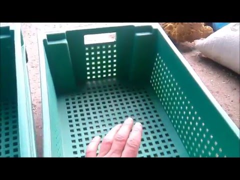 Видео: Запуск вермифермы, покупка и заселение червя Ф1