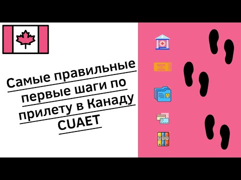 Видео: Ep.7: Прилетел, что делать? Полезная информация для тех кто прилетел по CUAET