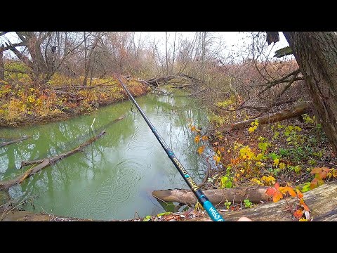 Видео: МИКРОРЕЧКА в ПРЕДЗИМЬЕ - ловля щуки на спиннинг в ноябре! Рыбалка на щуку 2022!