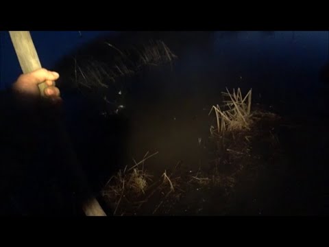 Видео: Закинул Паук в ручей!!трещит но тянет.Хапуги в деле