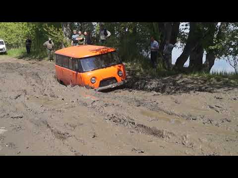 Видео: "Засадное место" Алт.край. "селезнёвская" протока....