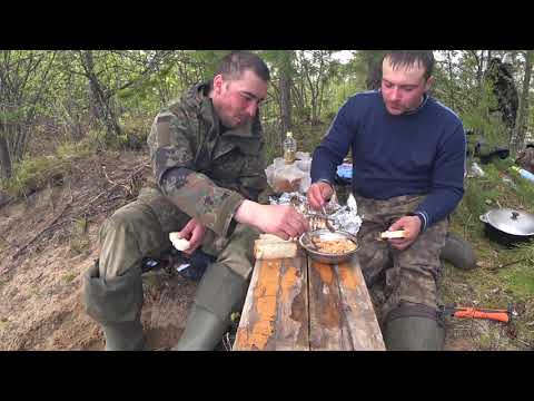 Видео: ЩУКА В ФОЛЬГЕ НА КОСТРЕ / ОБЕД НА ПРИРОДЕ / ОТДЫХАЕМ ПОСЛЕ РЫБАЛКИ.