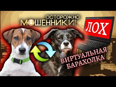 Видео: Виртуальная барахолка. Осторожно, мошенники! @centralnoetelevidenie