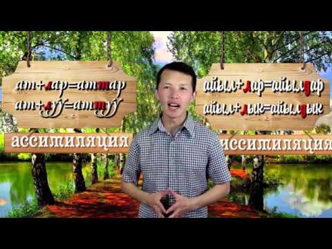 Видео: Фонетика: диссимиляция (7-сабак)