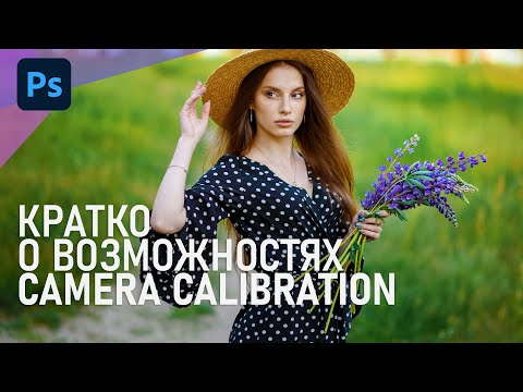 Видео: Camera Calibration - недооцененный инструмент для работы с насыщенностью и оттенками