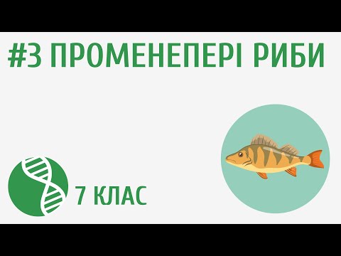 Видео: Променепері риби #3