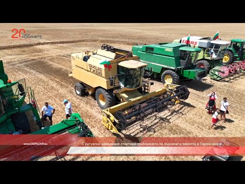 Видео: С ритуално зажънване стартира прибирането на зърнената реколта в Горски извор