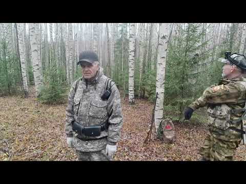 Видео: 29 октября 2025 г.