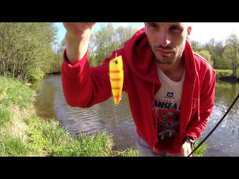 Видео: Попла-поппер. Новое чудо или очередная фигня?! Разберемся на рыбалке!