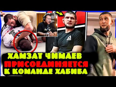 Видео: Сенсация! Хабиб тренирует Хамзата, закадровый скандал в UFC.