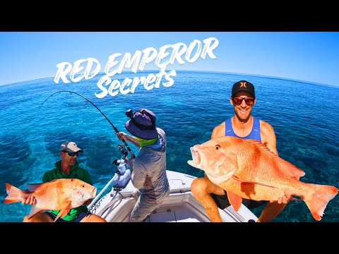 Видео: 3 дня на ББР (джиггинг, кастинг, троллинг и подводная охота)