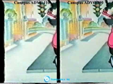 Видео: Сравнение Canopus ADVC 110 и Canopus ADVC 300