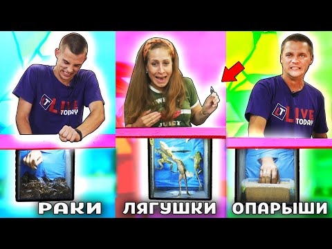 Видео: ВЫБЕРИ правильный ЯЩИК, чтобы ВЫЖИТЬ.!