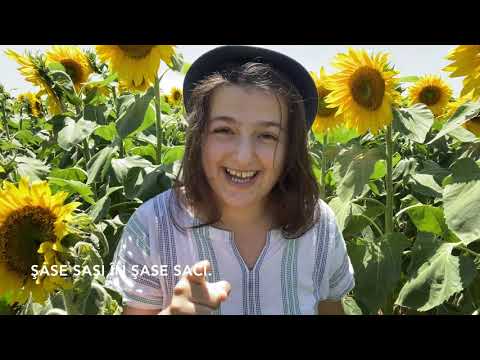 Видео: Скороговорки на румынском языке | Дикция на Румынском языке | Румынский язык для счастья! :)