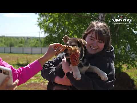 Видео: О жизни в приюте #Зоорай. Видео от июня 2025г. #приют #помощьбездомным #вдобрыеруки #ищетдом