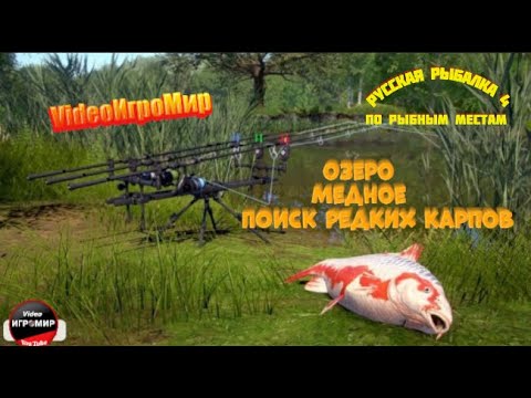 Видео: РУССКАЯ РЫБАЛКА 4 СТРИМ (РР4) КОЛЕСО ФОРТУНЫ ДЛЯ ЗРИТЕЛЕЙ ЮТУБА (МУЗЫКАЛЬНАЯ РУЛЕТКА  ПРИЗЫ ТУРНИРЫ)