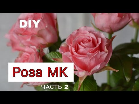 Видео: Собираю розу Амстердам из фоамирана
