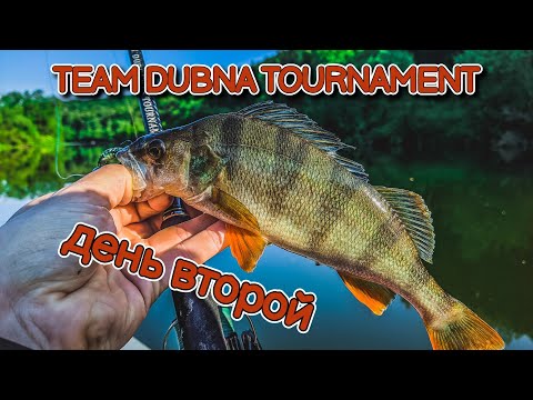 Видео: Первый тест Hearty Rise Team Dubna Tournament Limited TDT-772L день второй | ловля щуки и окуня