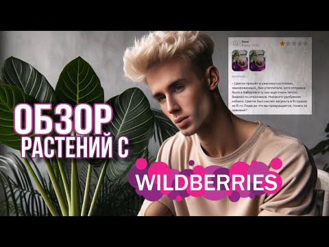 Видео: РЕДКИЕ РАСТЕНИЯ С WILDBERRIES /⭐️ РАСПАКОВКА НОВИНОК И РОЗЫГРЫШ МОЕЙ АЛЬБЫ !🔥🪴