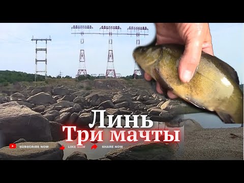Видео: Три мачты .Выпускаем ЛИНЯ на оз. МИРУ-МИР. Запорожье 26 июля 24г.