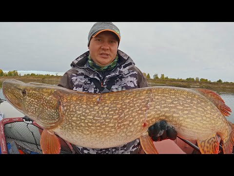 Видео: ШОК РЫБАЛКА!!! НА СПИННИНГ КЛЮНУЛА ОГРОМНАЯ РЫБА! Что было дальше?