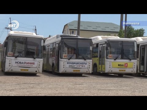 Видео: «Метаны» на грани исчезновения. Кто виноват и что делать?