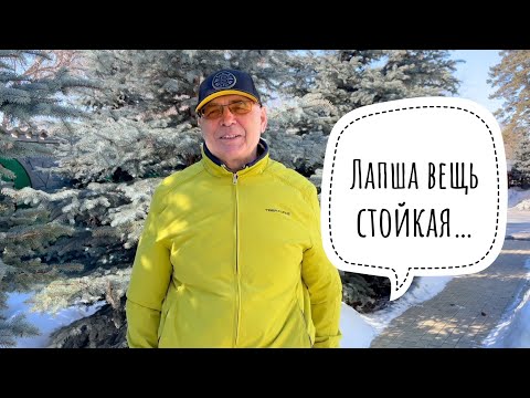 Видео: Лапша вещь стойкая…