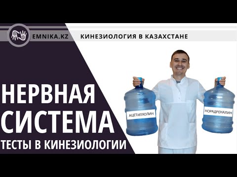Видео: Вегетативная нервная система, баланс,  тесты в кинезиологии.