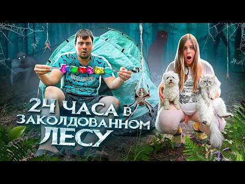 Видео: 24 ЧАСА В ЗАКОЛДОВАННОМ ЛЕСУ С КОТОМ И СОБАКОЙ | ШАШЛЫК ИЗ ЕДИНОРОГА