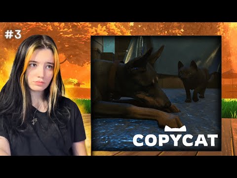 Видео: Сабвей сёрф с собаками ▲ Copycat #3