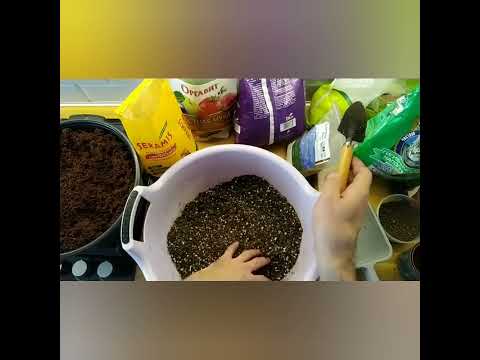 Видео: Грунт для АДЕНИУМОВ