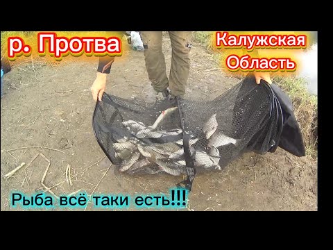 Видео: РЫБА ЕСТЬ. р. ПРОТВА. РЫБАЛКА НА ФИДЕР
