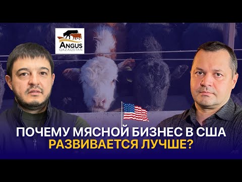 Видео: Мясной бизнес в Казахстане и США: чего не хватает нашим фермерам?