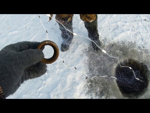Видео: Суровая зимняя рыбалка сетями. Как поставить сети под лёд