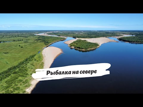 Видео: Соло рыбалка на Двине. Рядом с деревней Черевково.