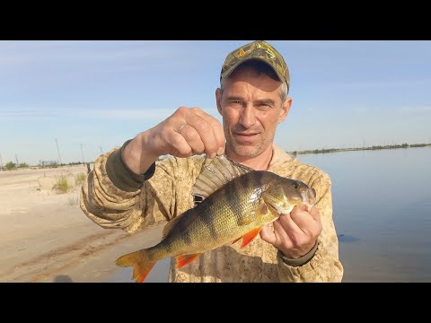 Видео: НОВОЕ ОЗЕРО С КРУПНЫМИ ОКУНЯМИ. РЫБАЛКА НА СПИННИНГ.