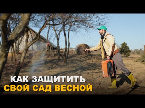 Видео: Самая главная обработка сада.