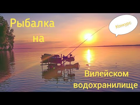 Видео: Ночная фидерная рыбалка на Вилейском водохранилище. Рыбалка с утра, Конкурс!!!!