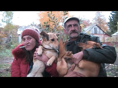 Видео: ЗНАКОМЛЮСЬ  С  ВАСЕЙ  А  ВИН  УСРАВСЯ..........