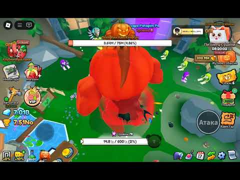 Видео: 11 ноября 2025 г.