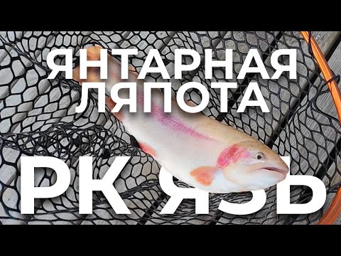 Видео: РК ЯЗЬ | ФОРЕЛЬ | ЯНТАРНАЯ ЛЯПОТА И ДЕНЬ РОЖДЕНИЯ КЛУБА