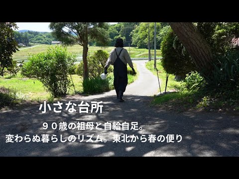 Видео: Две недели с моей 90-летней бабушкой. Красивые пейзажи Японии. Весенние новости из Тохоку.
