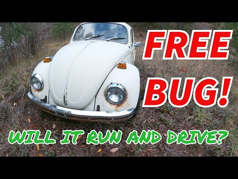 Видео: БЕСПЛАТНО! VW Beetle 1970 года. Будет ли он заводиться и ездить?