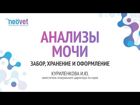 Видео: Анализы мочи  Забор, хранение и оформление