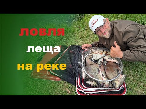 Видео: Ловля леща на реке