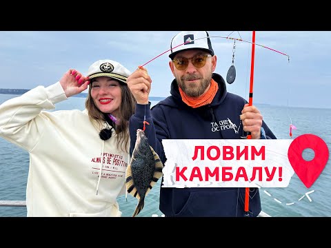 Видео: Рыбалка на Сахалине - камбала клюет без остановки! Азартная экскурсия на катере по заливу Анива.